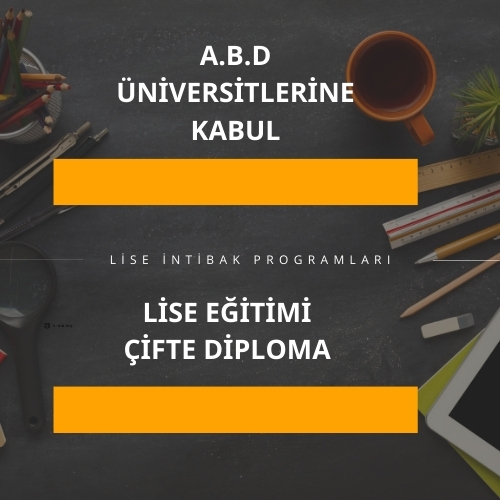 LİSE