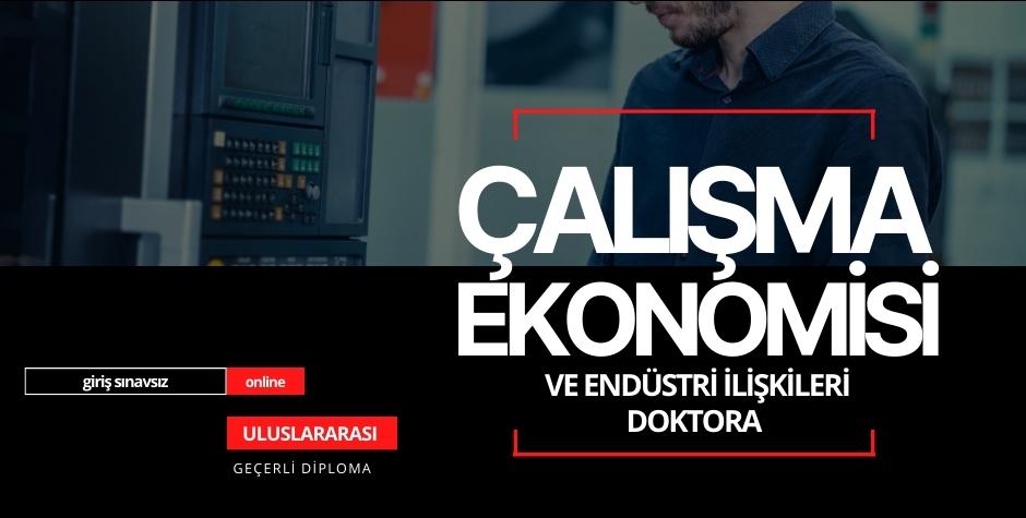 Doktora (Çalışma Ekonomisi Ve Endüstri İlişkileri) NW