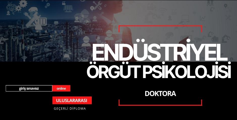  Doktora (Endüstriyel Psikolojisi)