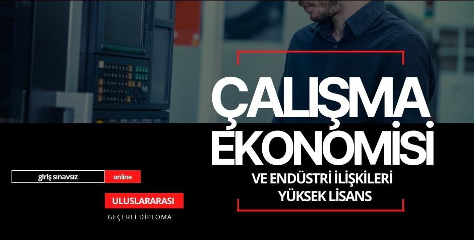  Yüksek lisans (Çalışma Ekonomisi Ve Endüstri İlişkileri)